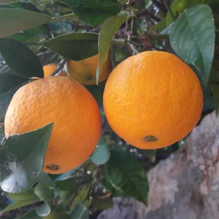 Appartement By The Sea Brna, Korcula - 17583 *