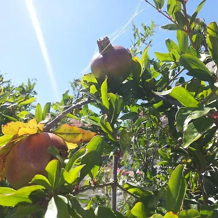 By The Sea Brna, Korcula - 17583 *