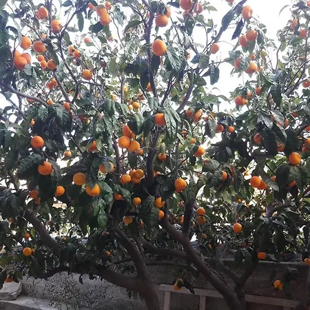 By The Sea Brna, Korcula - 17583 Appartement Smokvica (Korcula)