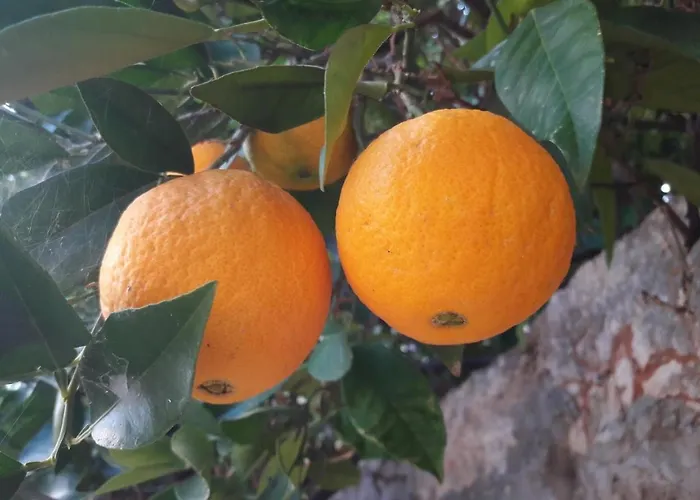 شقة By The Sea Brna, Korcula - 17583 *